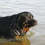 Roberta Timmons Maier - @robertatimmonsmaier - Instagram