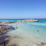 Roberta Mainolfi - @robertamainolfi - Instagram