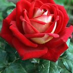 Roberta Marin - Facebook