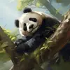 Roberta May - @roberta.may1 - TikTok