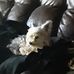 Roberta Mcdaniel - Facebook