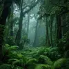 robertmelton202 - @robertmelton202 - TikTok