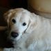 Roberta Murray - Facebook
