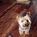 Roberta Murray - Facebook
