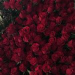🔥RÖBĖRTÃ🔥 - @roberta_._napoli - Instagram