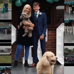 @roberta.neilson - Instagram