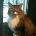 Roberta Peters - Facebook