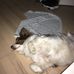 Roberta Ricci - Facebook