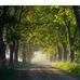 Roberta Ritter - Facebook