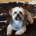 Roberta Vaughan-Saunders - Facebook