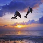 Roberta Simoni - @simoni.roberta - Instagram