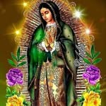 Roberta  solano Martínez - @robertasolanomartinez - Instagram
