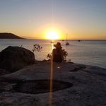 Roberta Sparrow - @robertasparrow2 - Instagram