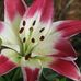 Roberta Spence - Facebook
