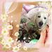 Roberta Spencer - Facebook