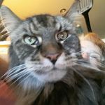 Roberta Sprague Schaefer - @rsprag75 - Instagram