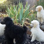 Roberta Stone - @roberta.stone601 - Instagram