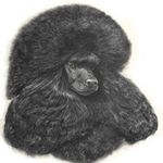 Roberta Stone - @stonewood_poodles - Instagram