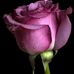 Roberta Sutton - Facebook
