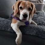 Roberta Sweeney - @sweeneyroberta7 - Instagram