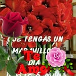 Roberta Tapia - @roberta.tapia.773 - Instagram