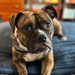 Roberta Taylor-Temple - @bertabootemple - Instagram