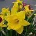 Roberta Todd - Facebook