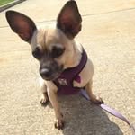 Roberta Todd - @roberta.todd - Instagram