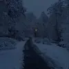 RobertaVance - @mariawilhkn - TikTok