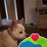 Roberta Walter - @roberta.walter.589 - Instagram