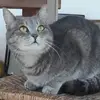 Roberta Zanet - @roberta.zanet - TikTok