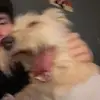 rrobertoalas2 - @rrobertoalas2 - TikTok