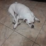 Roberto alcalde - @alcalde_roberto - Instagram