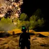 robertoaleman - @robertoalemann_ - TikTok