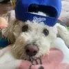 robertoaponte.13 - @robertoaponte.13 - TikTok