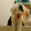 Roberto Atilano Fern - @robertoatilanofernandez0 - TikTok