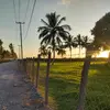 robertoatilano635 - @robertoatilano635 - TikTok