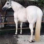 Roberto Ballesteros - @ballesteros6492 - Instagram