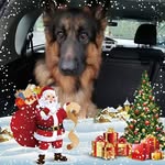 Roberto Barletta - @roberto.barletta.71 - Instagram
