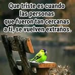 Roberto Barron - Facebook