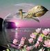Roberto Bartoli - Facebook