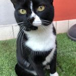 Roberto Bartoli - @roberto.bartoli.982 - Instagram