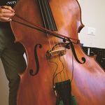 Roberto Bartoli - @robertobartolidoublebass - Instagram