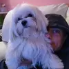 Basile Roberto - @basileroberto - TikTok