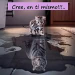 Roberto Bejarano - @roberto.bejarano - Instagram