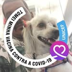 Roberto Bernardo - @roberto.bernardo.14289 - Instagram