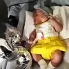 Roberto Bernardo - @roberto.bernardo43 - TikTok