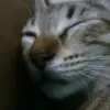 robertobernardo89 - @robertobernardo89 - TikTok