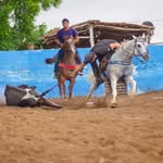 Roberto braga - @robertim_braga - Instagram