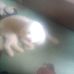Roberto Bustos - Facebook